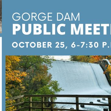 Gorge Dam Public Meeting